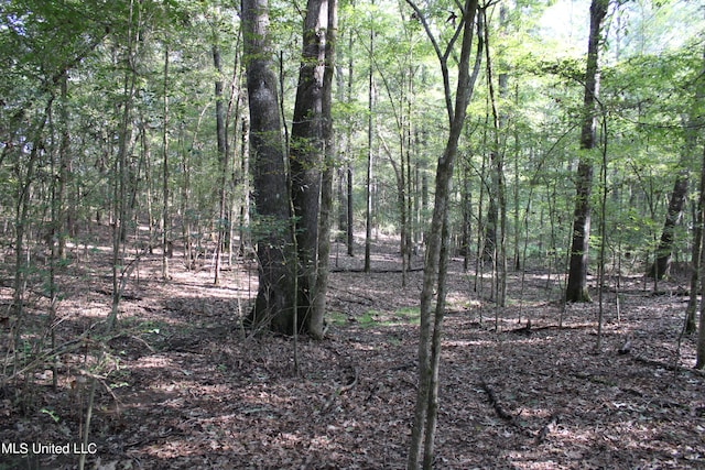 524 Davis Crossing Rd, Canton, MS 39046