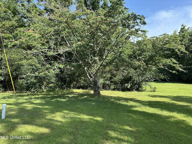 1628 Dry Creek Rd, Magee, MS 39111 - view of green lawn