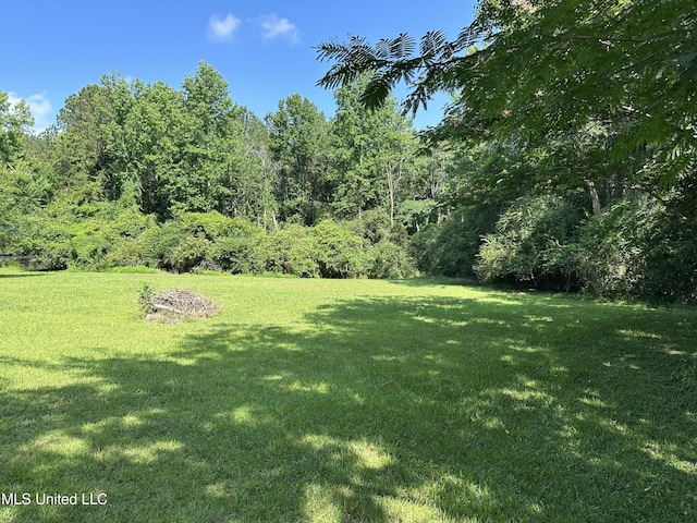 1628 Dry Creek Rd, Magee, MS 39111 - view of grassy yard