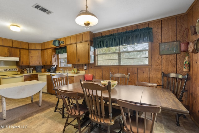 dining space with sink and wood walls