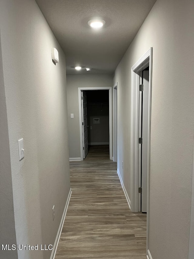 hallway featuring hardwood / wood-style flooring