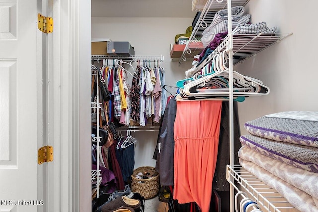 view of spacious closet