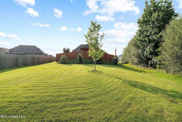 1647 Treestand Rd, Southaven, MS 38672 - view of yard