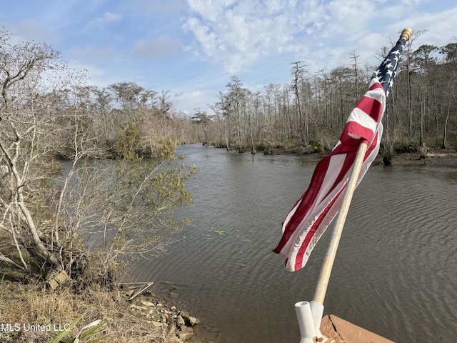 property view of water