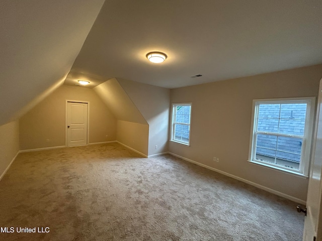 additional living space with lofted ceiling and carpet