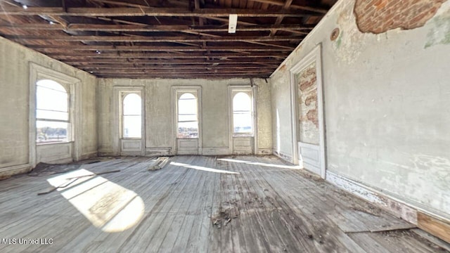 misc room featuring plenty of natural light and hardwood / wood-style flooring