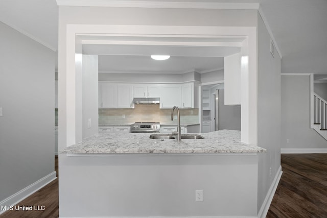 kitchen featuring dark wood-type flooring, sink, tasteful backsplash, white cabinetry, and stainless steel appliances