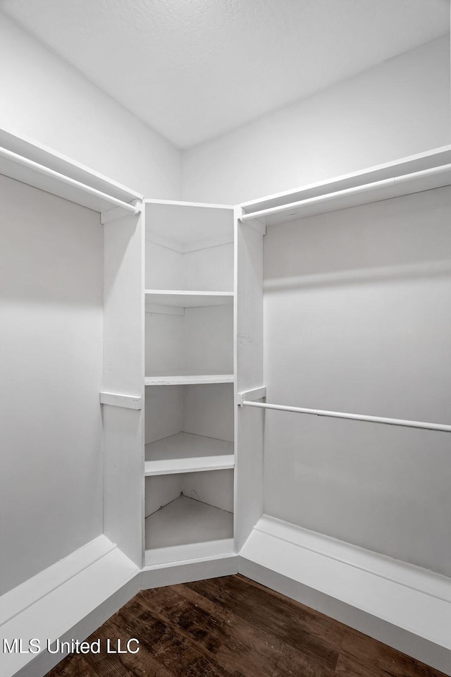 walk in closet with hardwood / wood-style flooring