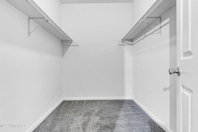 700 Martin Luther King Jr Dr, Holly Springs, MS 38635 - view of spacious closet