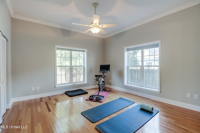 workout room featuring hardwood / wood-style floors, ceiling fan, a healthy amount of sunlight, and ornamental molding