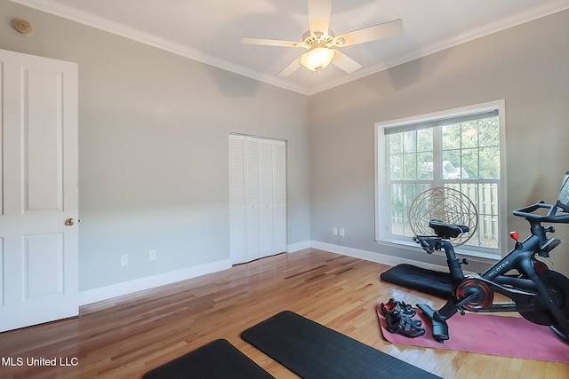 workout area featuring ceiling fan, wood-type flooring, and ornamental molding