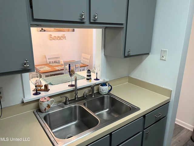 kitchen with sink and hardwood / wood-style flooring