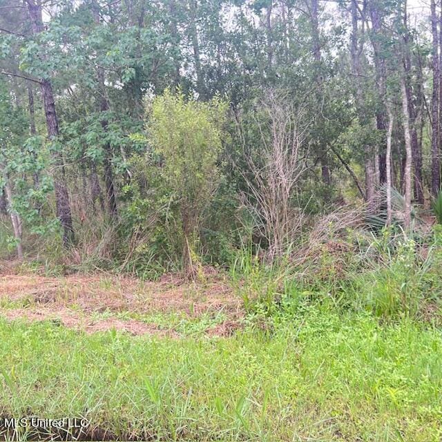 NO Arkansas St, Bay Saint Louis MS, 39520 land for sale