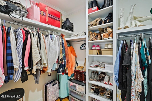 1622 Old Lake Rd, Brandon, MS 39042 - view of spacious closet
