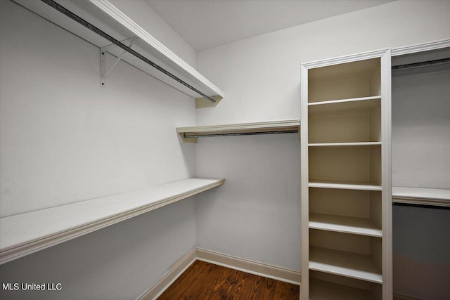 walk in closet featuring dark wood-type flooring