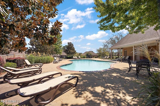 view of pool featuring a patio area