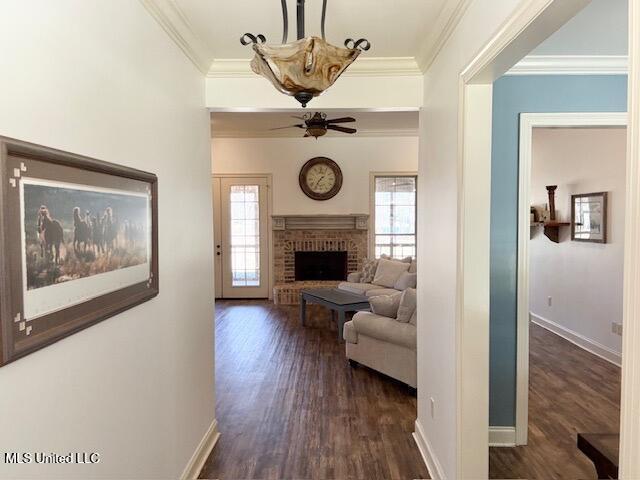 living area featuring ornamental molding, dark wood-style flooring, a brick fireplace, and baseboards