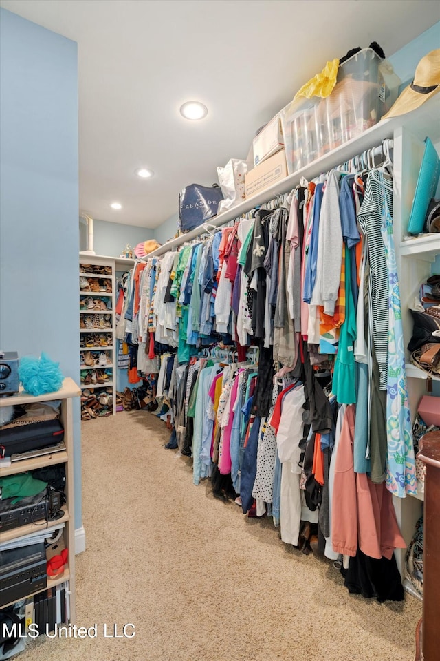 spacious closet with carpet floors