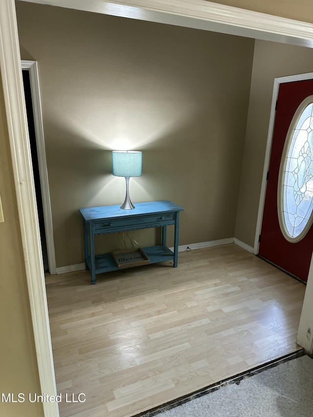 foyer entrance with light hardwood / wood-style flooring