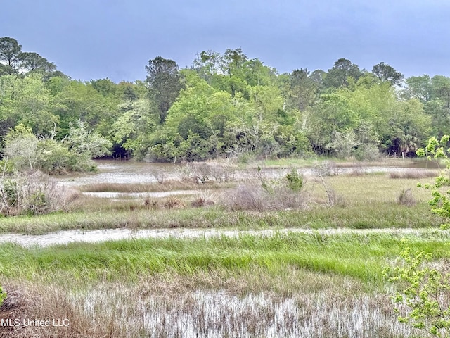 1517 Oak Leaf Cir, Gautier, MS 39553 - view of yard with a wooded view