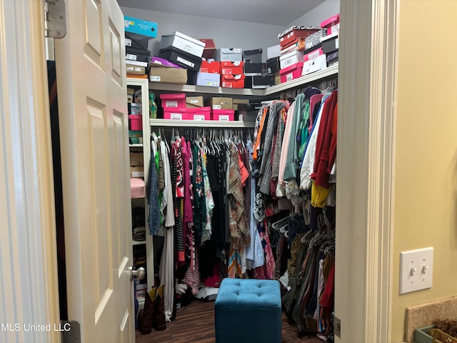 spacious closet with hardwood / wood-style floors