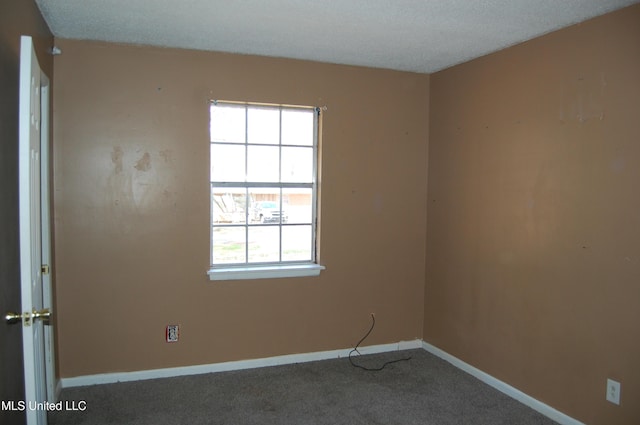 empty room with baseboards, carpet, and a textured ceiling