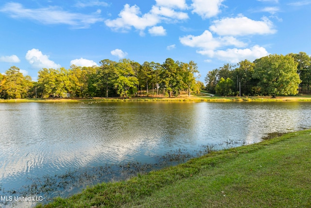 view of water feature