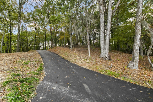 1609 SW Linda Dr, Clinton, MS 39056 - view of road featuring a forest view