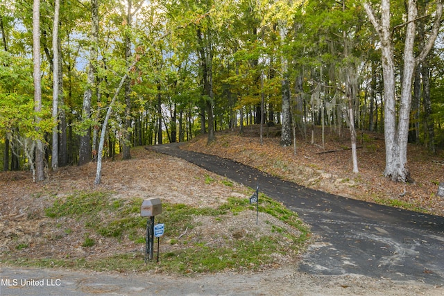1609 SW Linda Dr, Clinton, MS 39056 - view of yard