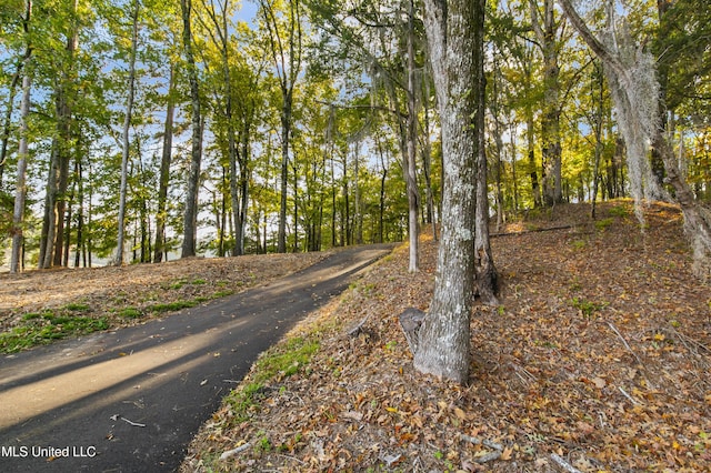 1609 SW Linda Dr, Clinton, MS 39056 - view of road
