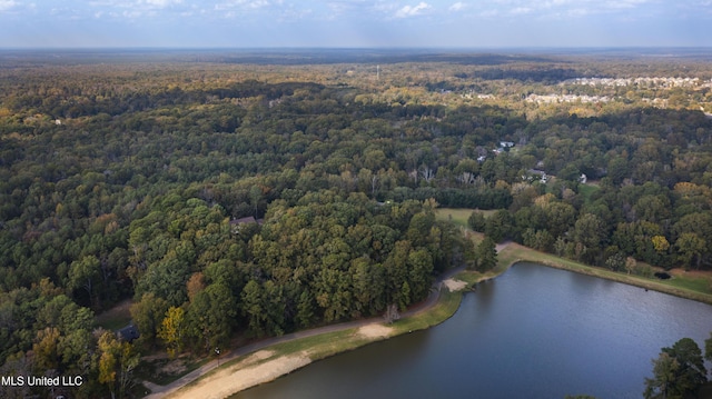 1609 SW Linda Dr, Clinton, MS 39056 - aerial view of property and surrounding area featuring a forest and a nearby body of water