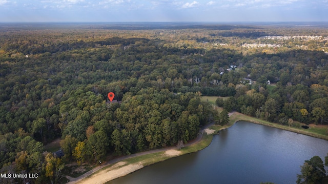 1609 SW Linda Dr, Clinton, MS 39056 - aerial view of property and surrounding area featuring a forest and a large body of water