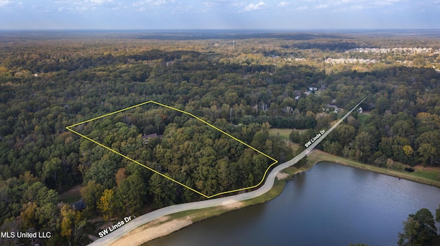 1609 SW Linda Dr, Clinton, MS 39056 - aerial view of property and surrounding area featuring a forest, property parcel outlined, and a large body of water