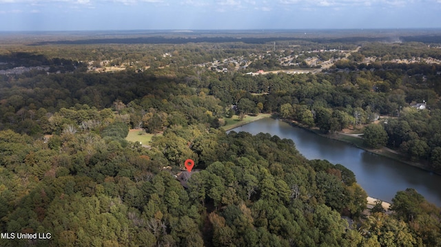 1609 SW Linda Dr, Clinton, MS 39056 - aerial view of property's location with a forest and a nearby body of water