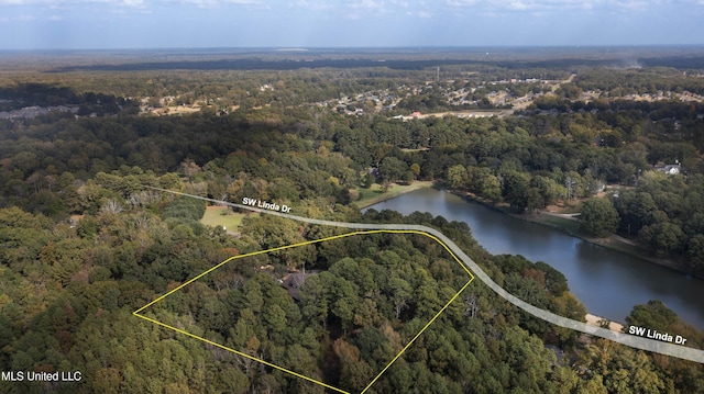 1609 SW Linda Dr, Clinton, MS 39056 - aerial overview of property's location with a heavily wooded area, property parcel outlined, and a nearby body of water