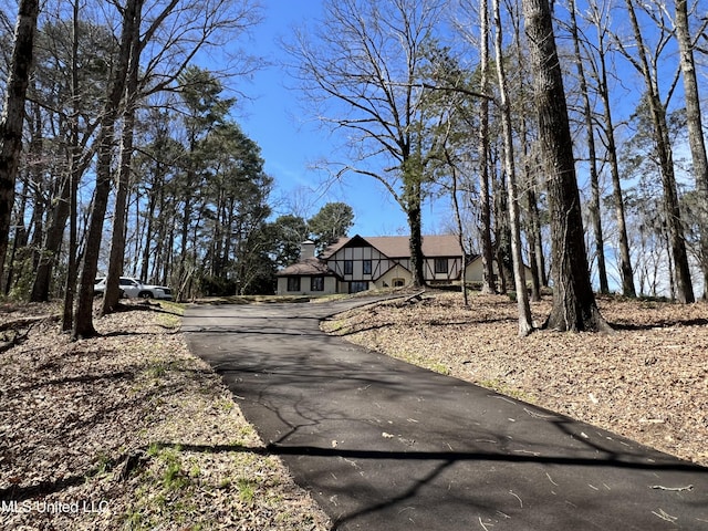 1609 SW Linda Dr, Clinton, MS 39056 - view of asphalt driveway