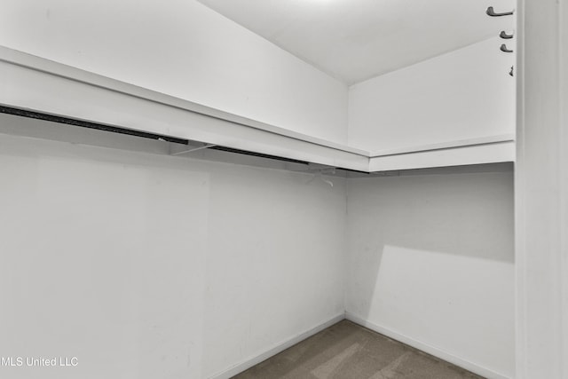 1609 SW Linda Dr, Clinton, MS 39056 - spacious closet with light colored carpet