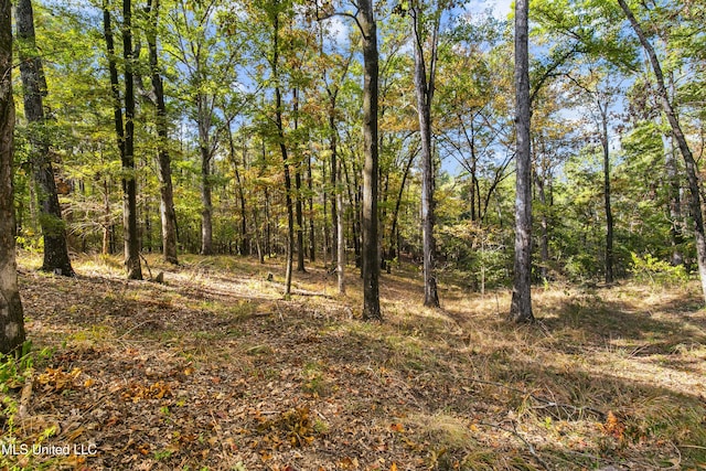 1609 SW Linda Dr, Clinton, MS 39056 - view of woods