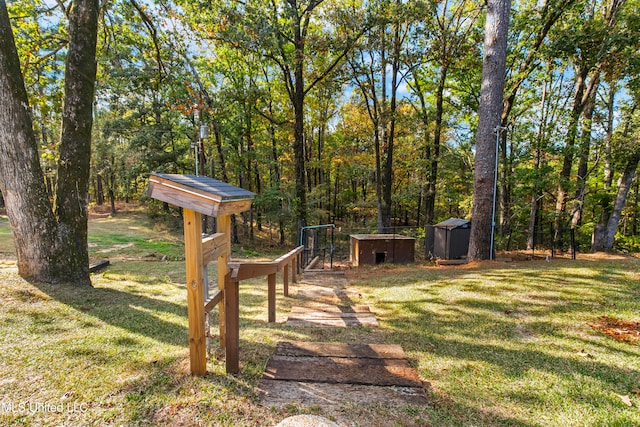 view of yard with a storage shed