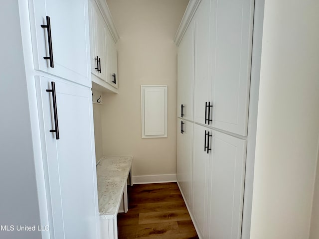 mudroom with dark hardwood / wood-style floors