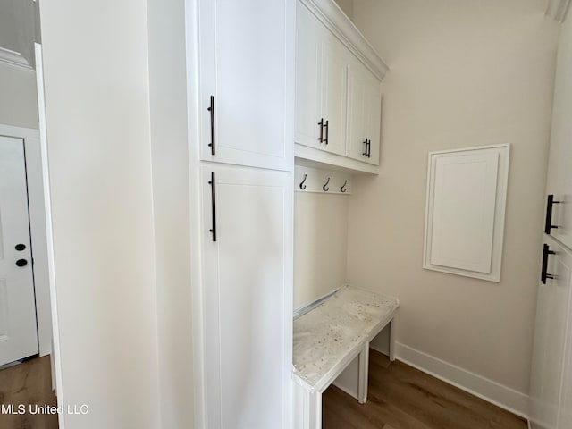 mudroom with dark hardwood / wood-style flooring