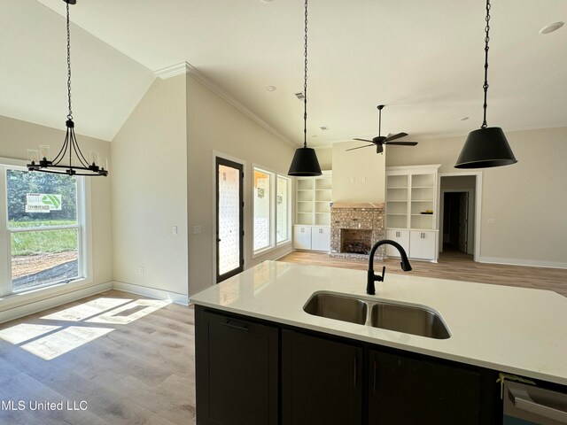 kitchen featuring decorative light fixtures, light hardwood / wood-style floors, a healthy amount of sunlight, and sink