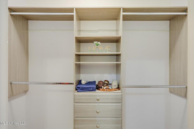 242 Commonwealth Ave, Brandon, MS 39047 - view of closet