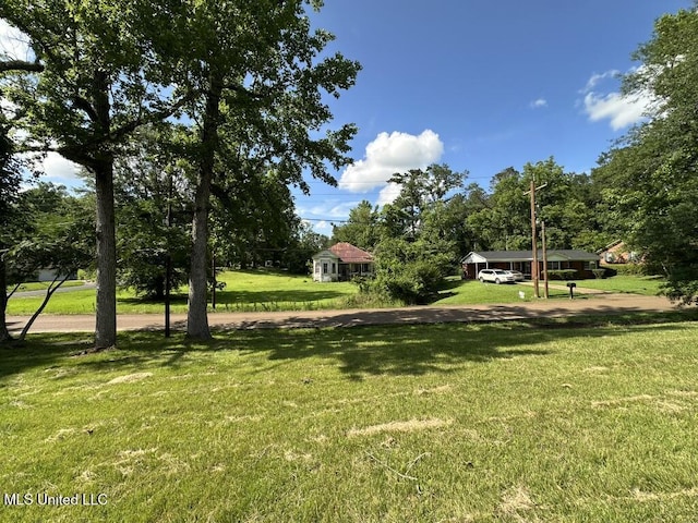 417 Boulevard St, Lexington, MS 39095 - view of grassy yard