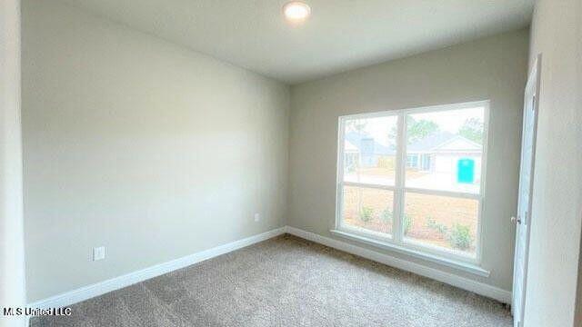 unfurnished room with carpet floors, a healthy amount of sunlight, and baseboards