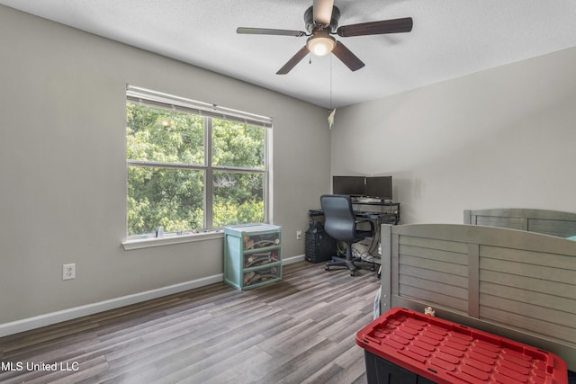 10510 Steeplechase Dr, Gulfport, MS 39503 - office space featuring plenty of natural light, wood finished floors, a ceiling fan, and a textured ceiling