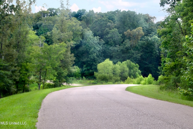 LOT30 Chestnut Hill Rd, Flora MS, 39071 land for sale