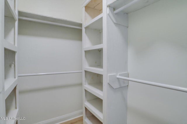 view of walk in closet