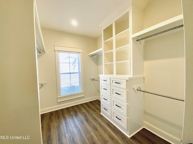 182 Sweetbriar Cir, Canton, MS 39046 - walk in closet with dark wood finished floors