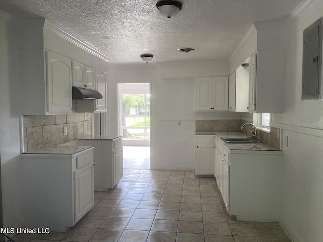2938 Oak Forest Dr, Jackson, MS 39212 - kitchen with under cabinet range hood, tasteful backsplash, electric panel, white cabinetry, and a textured ceiling